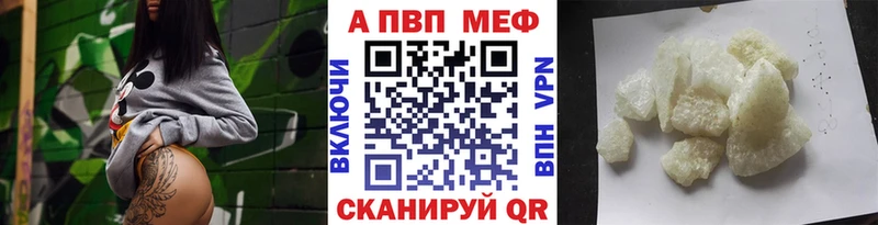 Alfa_PVP СК КРИС Брюховецкая