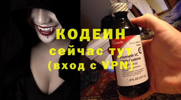 ГАЛЛЮЦИНОГЕННЫЕ ГРИБЫ Осинники