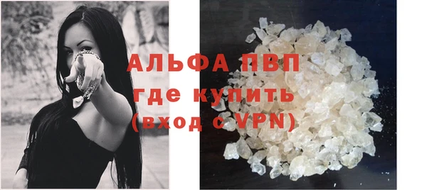 ГАЛЛЮЦИНОГЕННЫЕ ГРИБЫ Осинники
