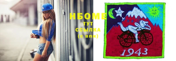 ГАЛЛЮЦИНОГЕННЫЕ ГРИБЫ Осинники