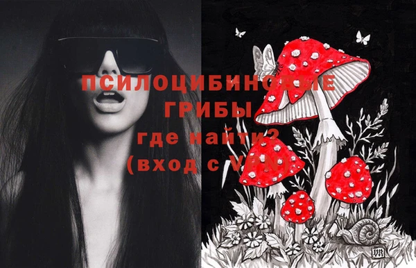 ГАЛЛЮЦИНОГЕННЫЕ ГРИБЫ Осинники
