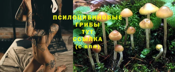 эйфоретик Осташков