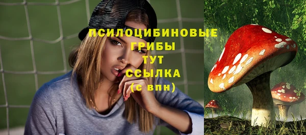 ГАЛЛЮЦИНОГЕННЫЕ ГРИБЫ Осинники