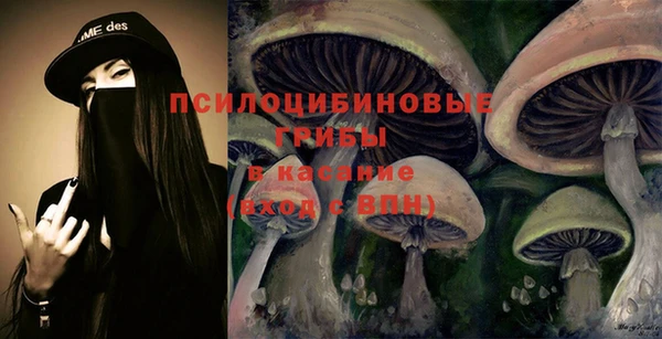 ГАЛЛЮЦИНОГЕННЫЕ ГРИБЫ Осинники