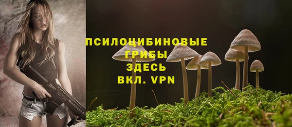 ECSTASY Остров