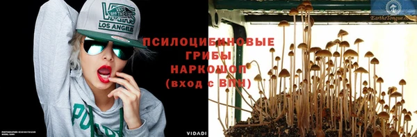 эйфоретик Осташков